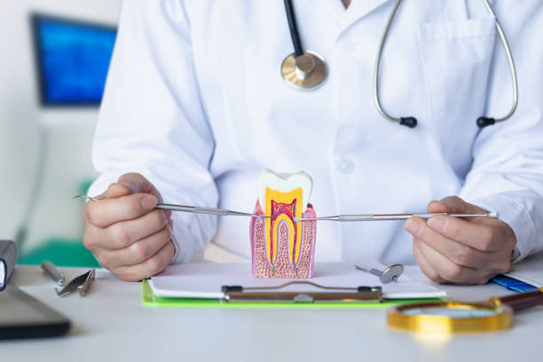 Best Emergency Broken Tooth Repair in Fairfield, IA